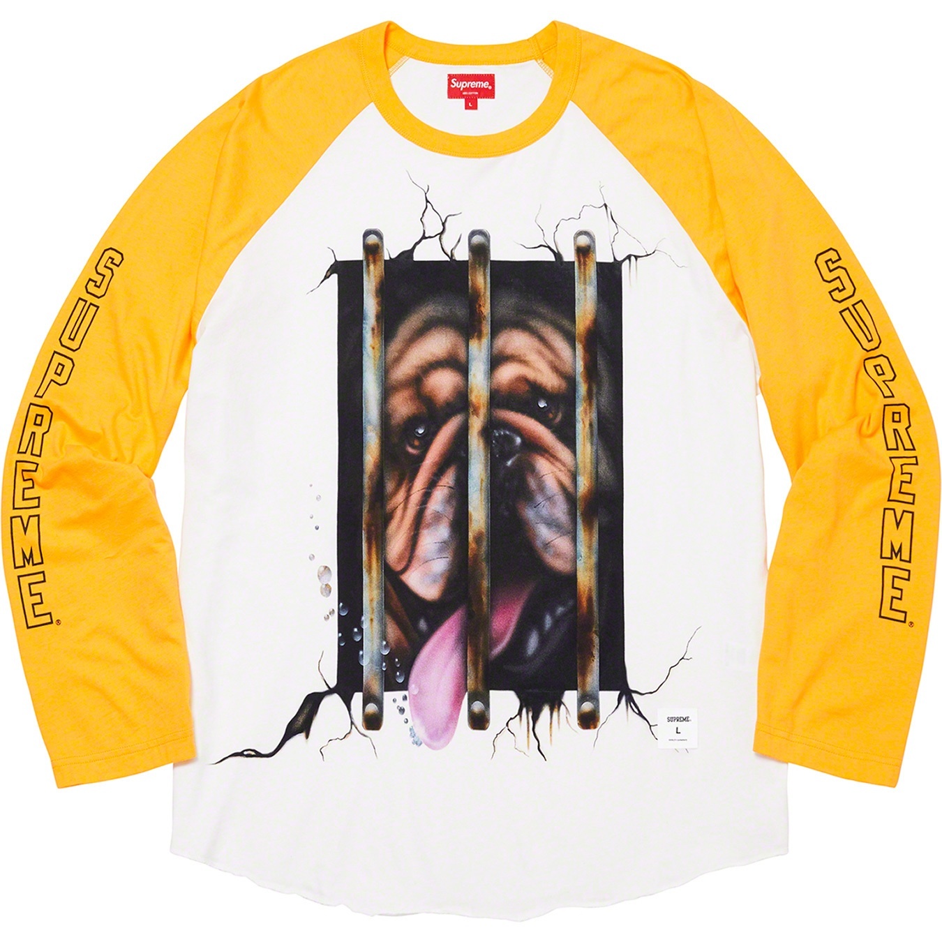 Dog Raglan L/S Top view 3